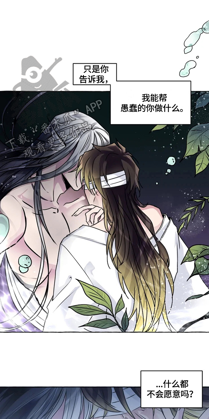 神奇的布鲁漫画,第21章：安排1图