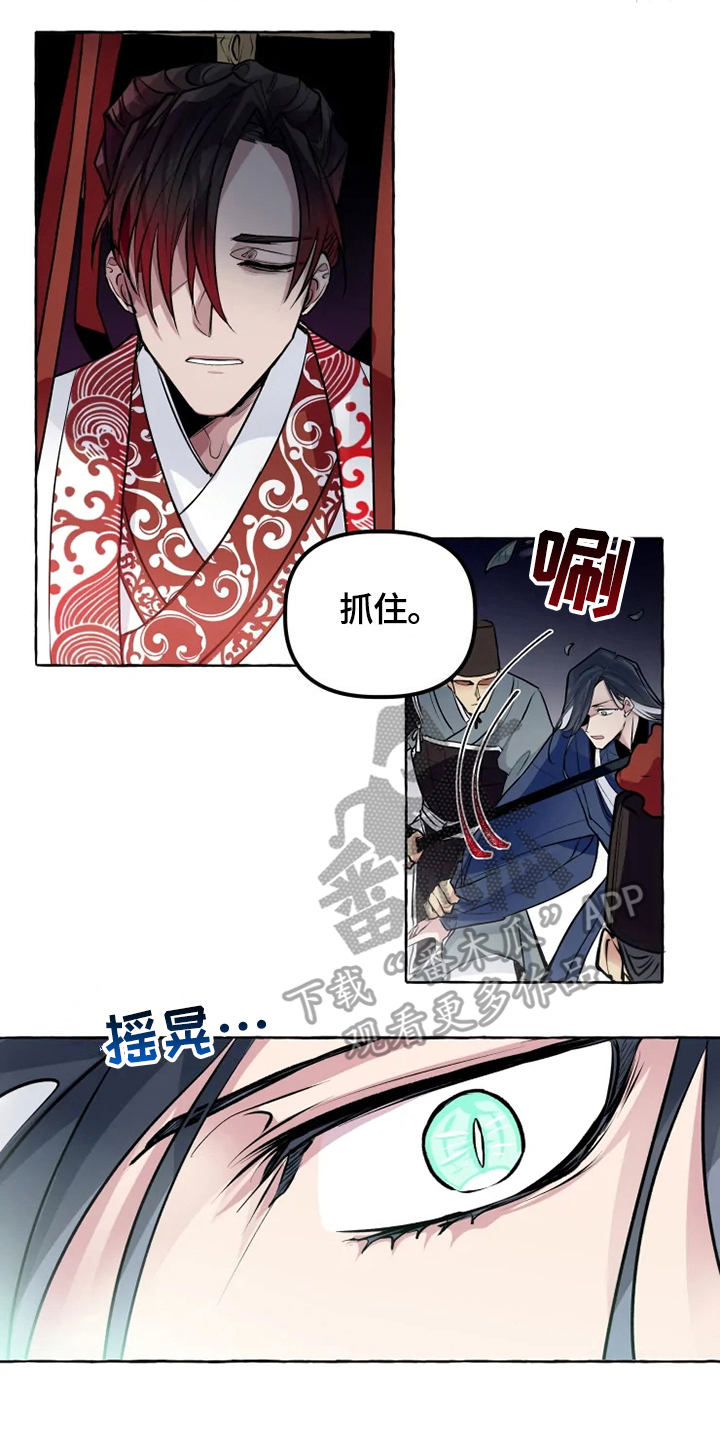 神奇的布鲁漫画,第24章：犯人5图