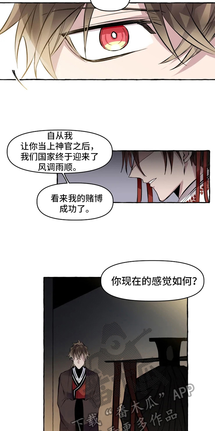 神奇的布鲁漫画,第10章：可喜可贺5图