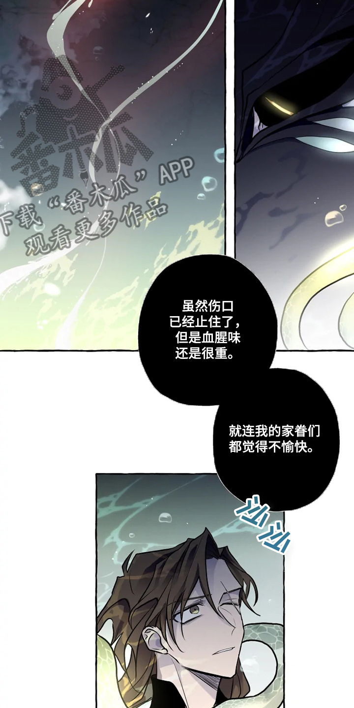 神奇的布鲁漫画,第39章：水底4图