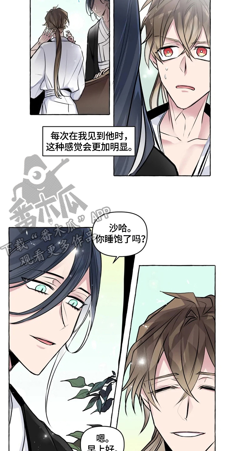 神奇的布鲁漫画,第21章：安排5图