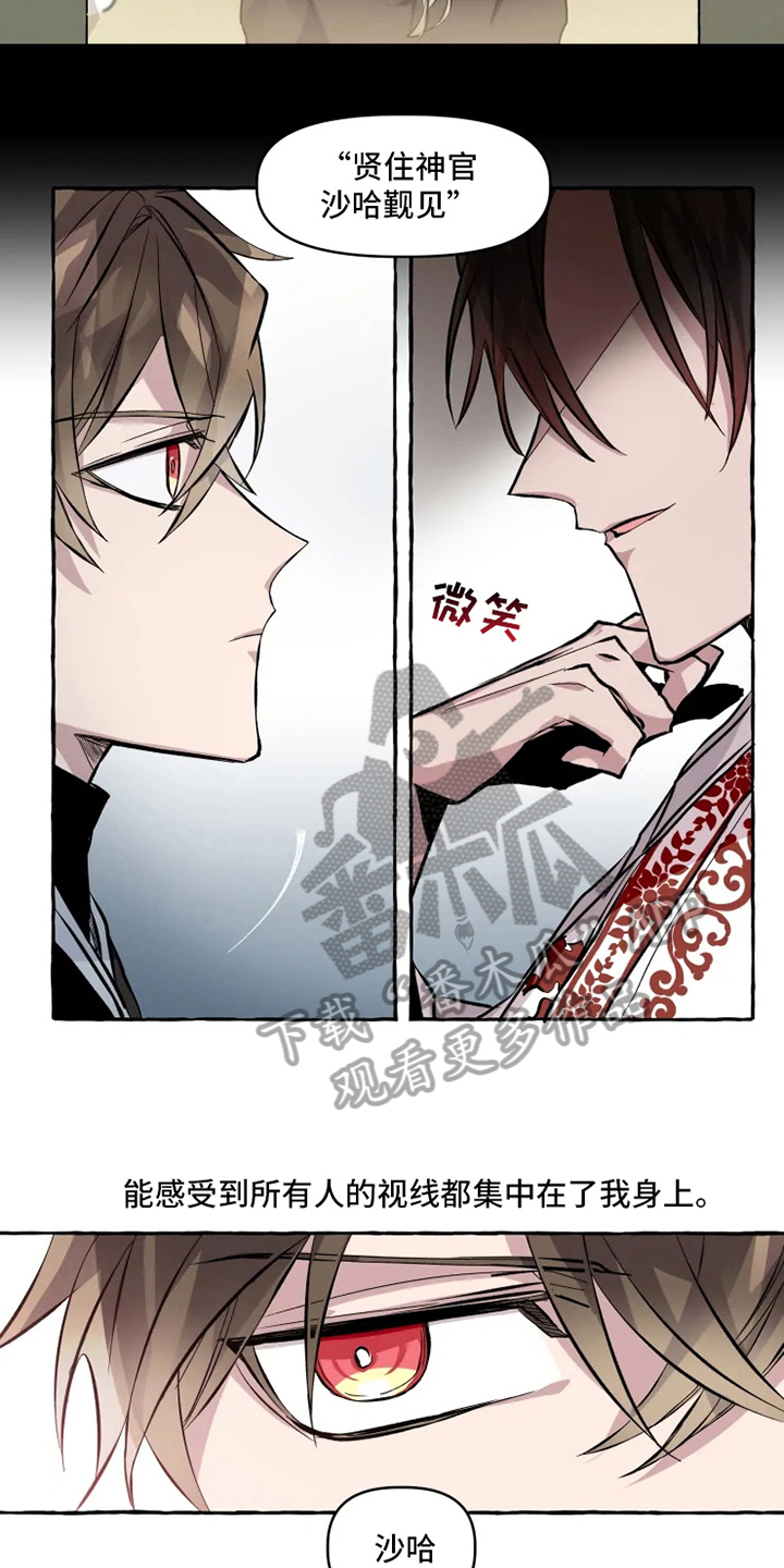 神奇的布鲁漫画,第10章：可喜可贺4图