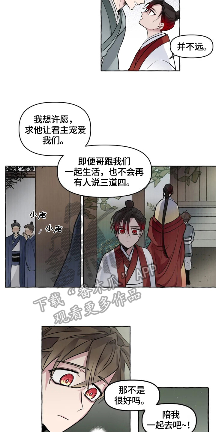 神奇的布鲁漫画,第29章：缘由5图