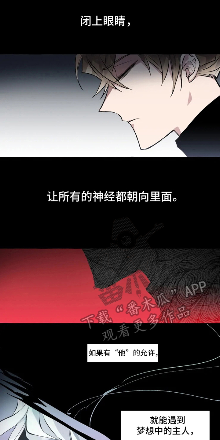 神奇的布鲁漫画,第9章：成功1图