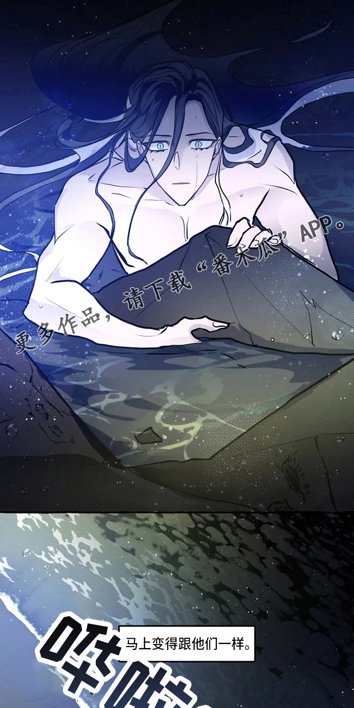 神奇的布鲁漫画,第50章：我帮你3图