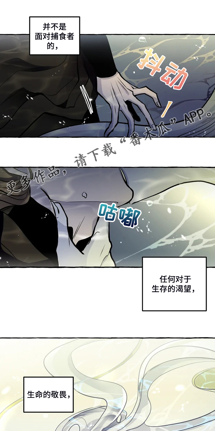 神见众生漫画,第40章：生命的敬畏1图