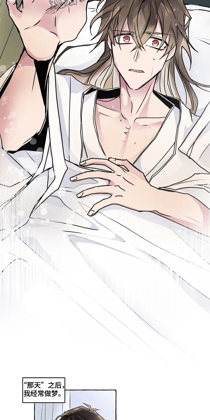 神奇的布鲁漫画,第21章：安排3图