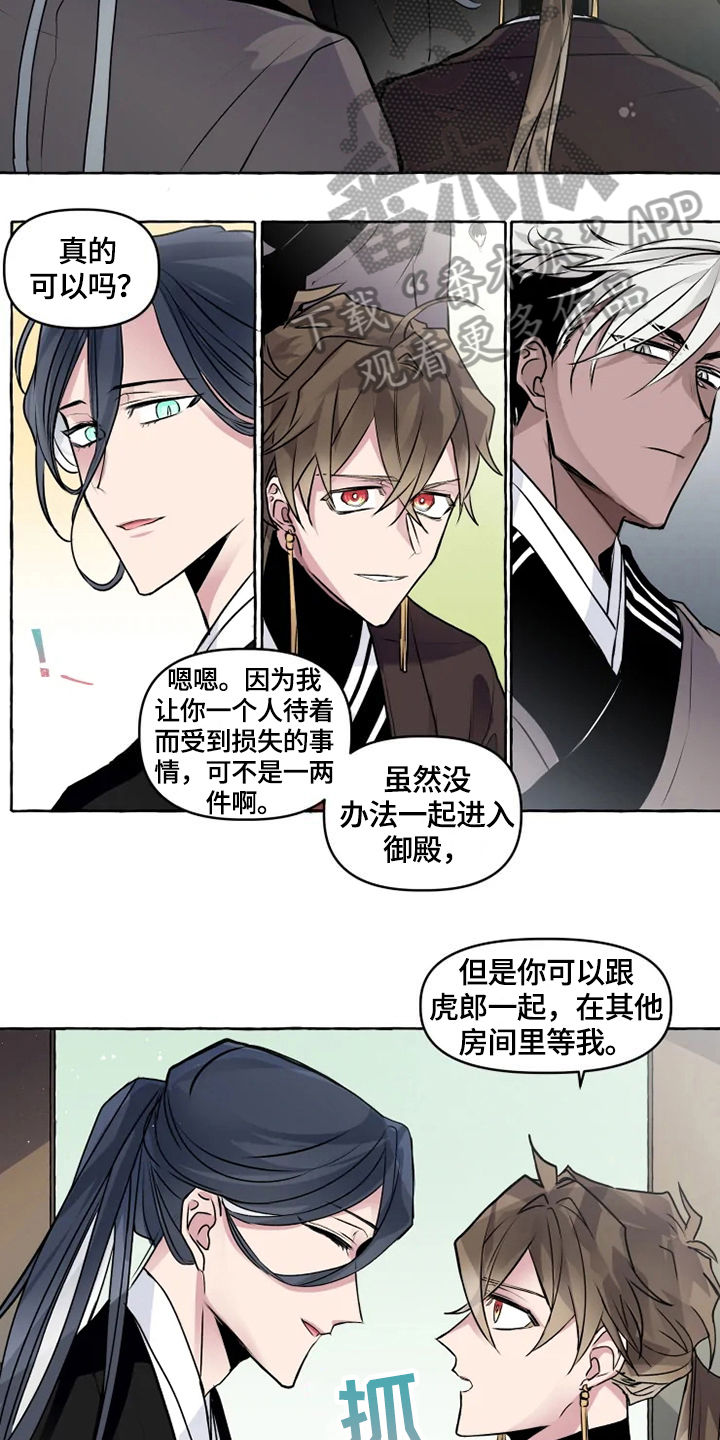 神奇的布鲁漫画,第21章：安排4图