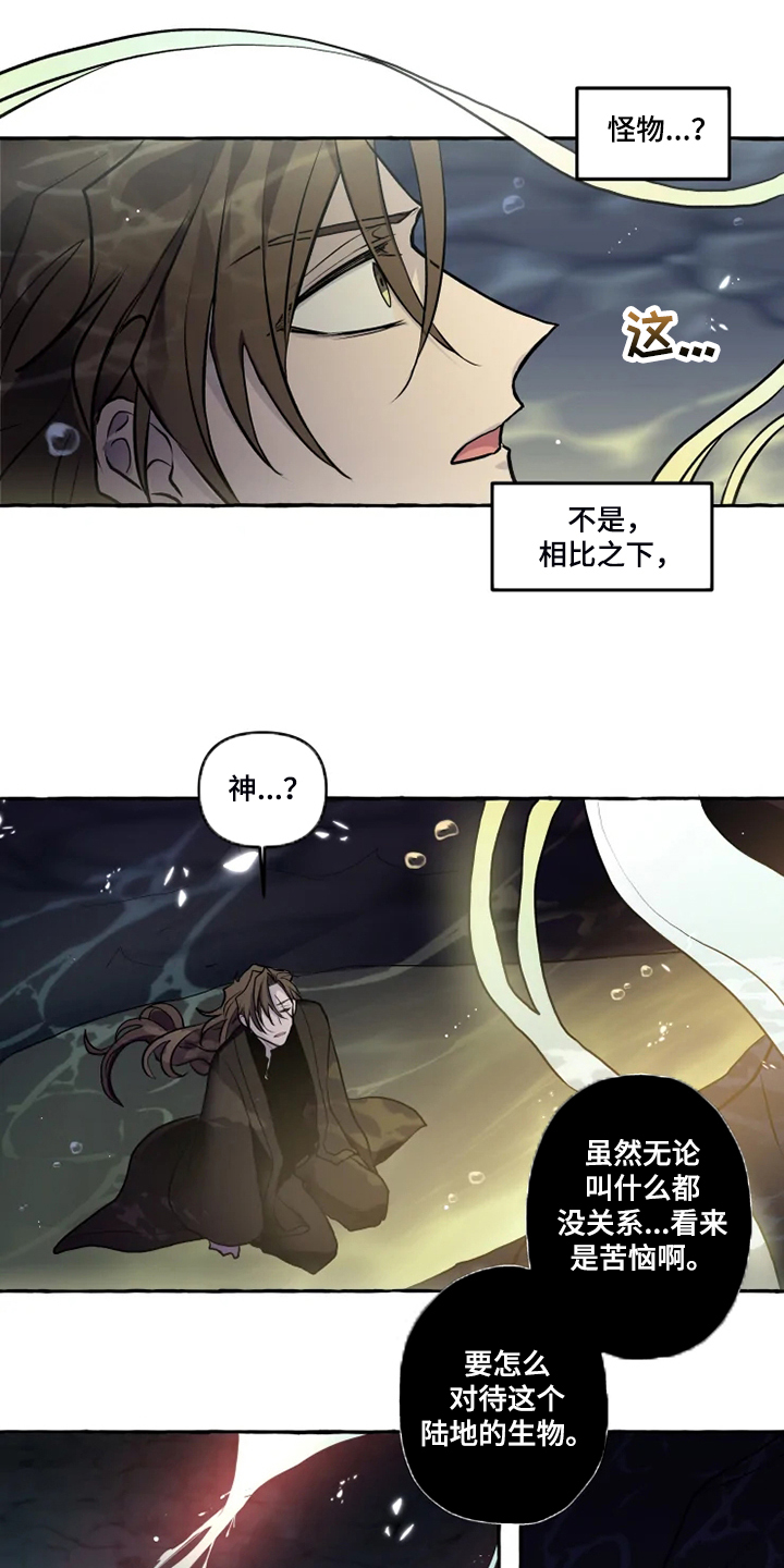 神奇的布鲁漫画,第39章：水底3图