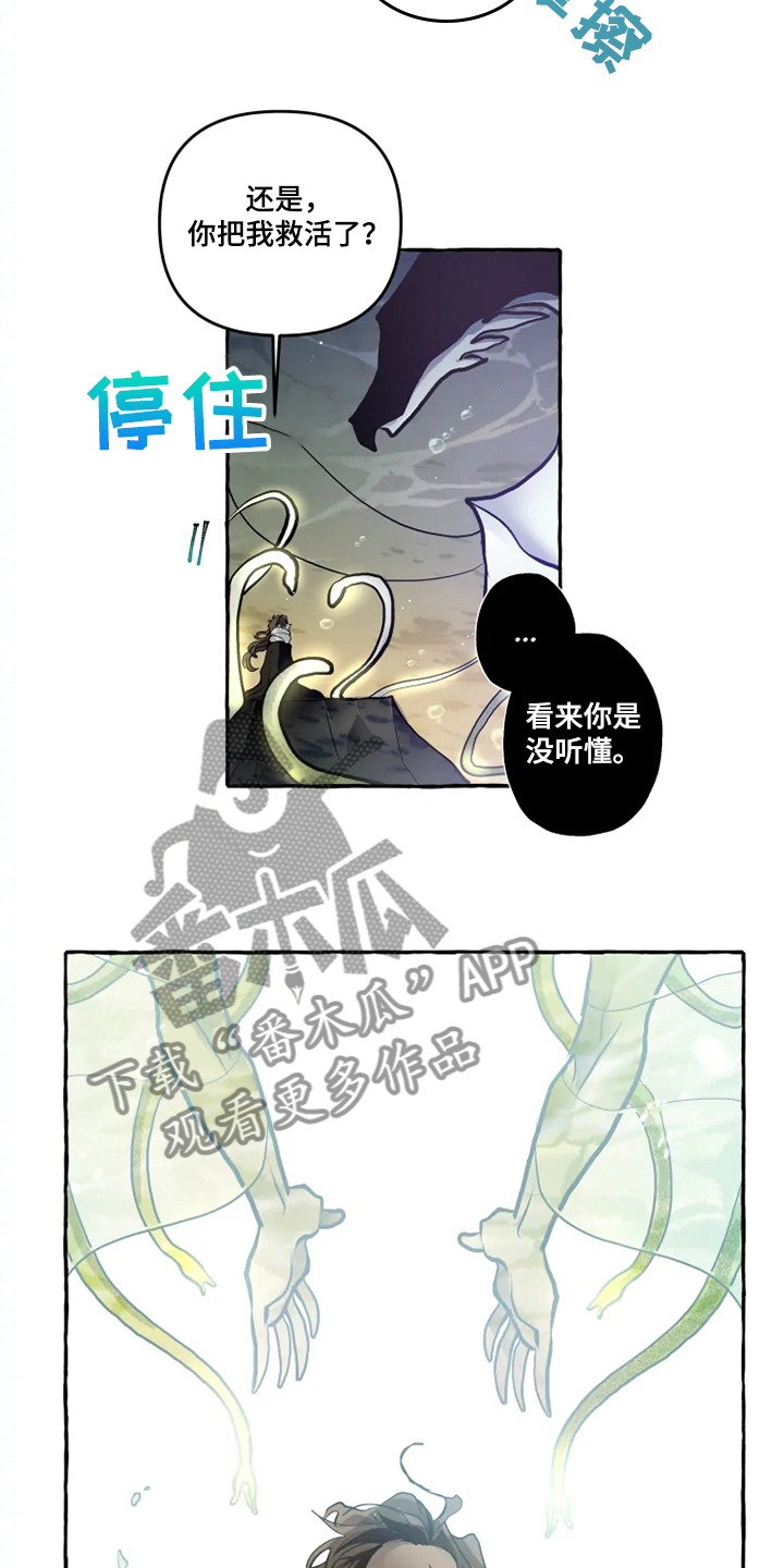 神奇的布鲁漫画,第39章：水底1图