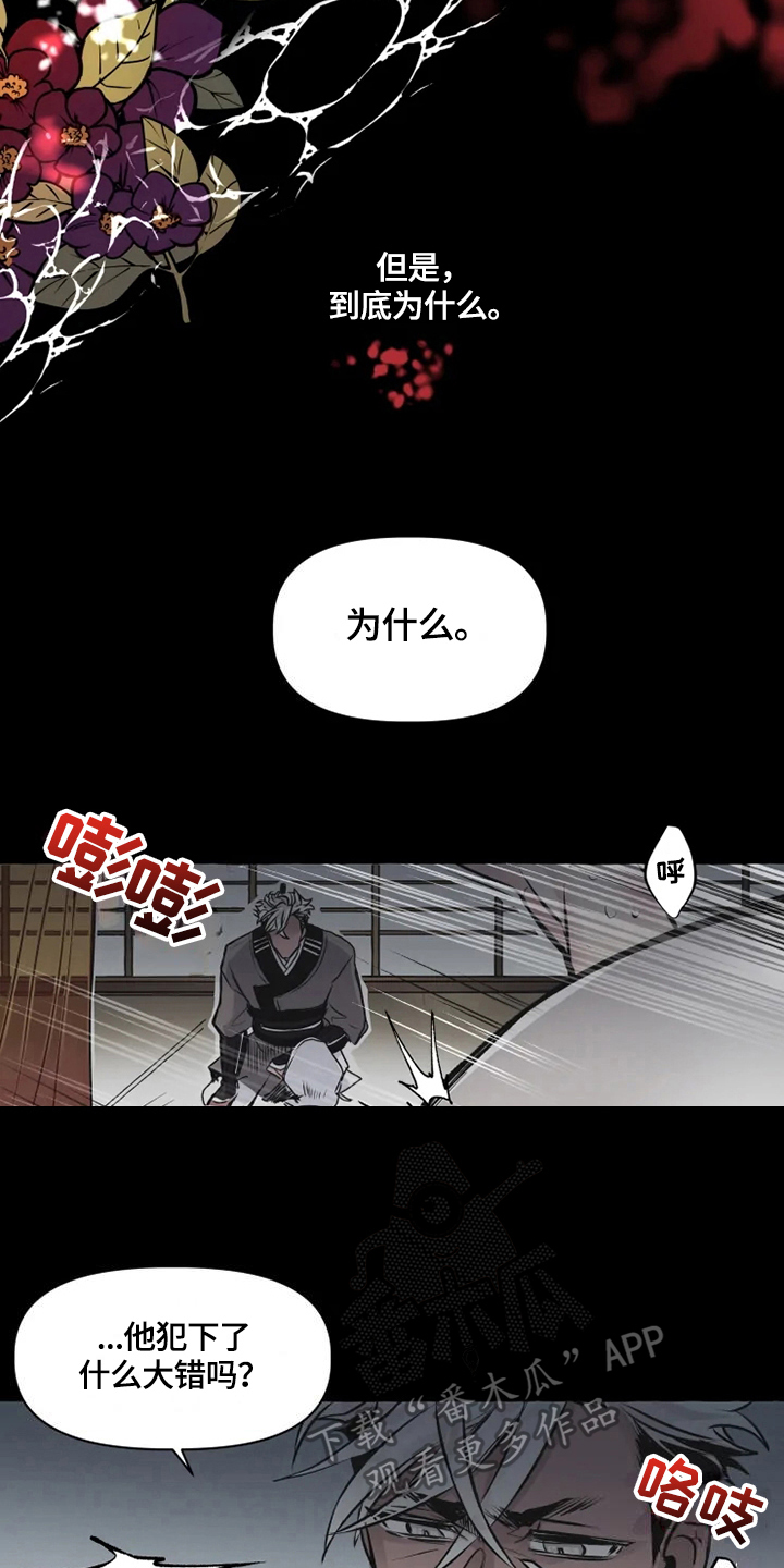 神奇的布鲁漫画,第19章：恶毒5图
