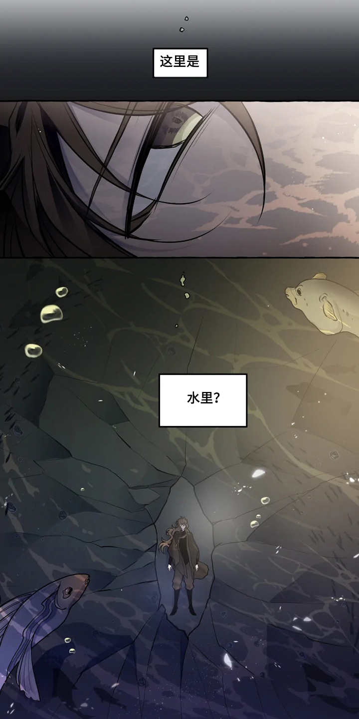 神奇的布鲁漫画,第39章：水底2图
