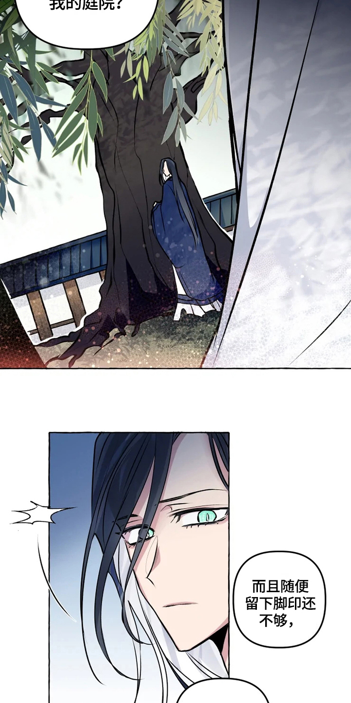 神奇的布鲁漫画,第24章：犯人3图