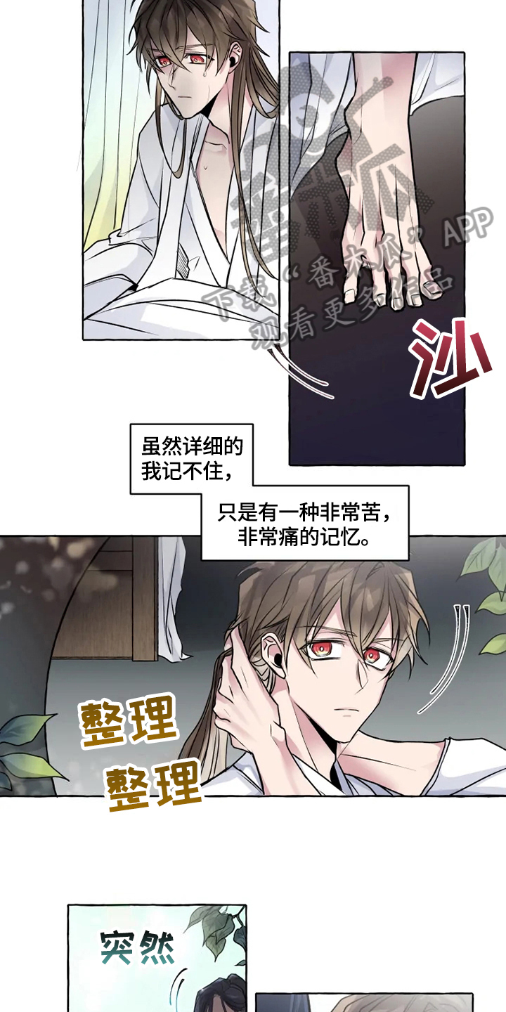 神奇的布鲁漫画,第21章：安排4图