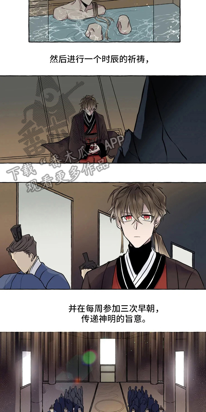 神奇的布鲁漫画,第4章：神官5图