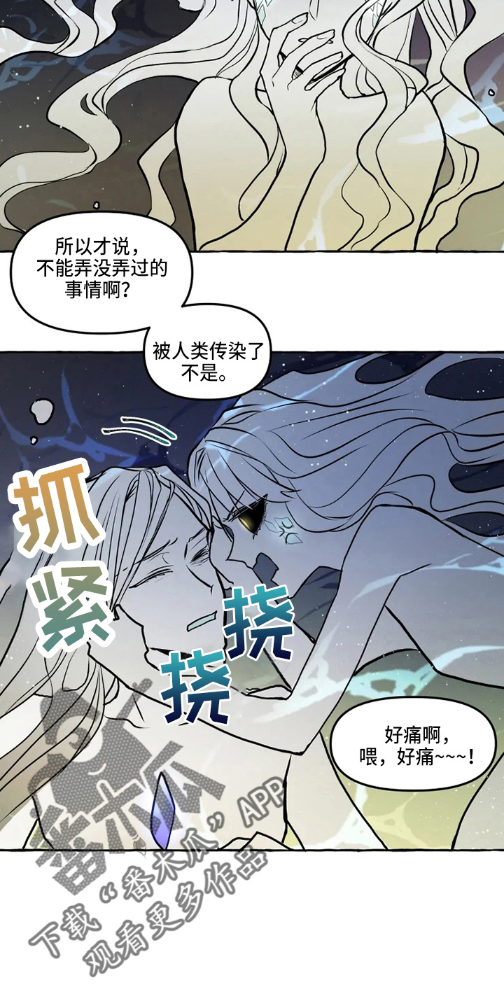 神奇的布鲁漫画,第49章：想见4图