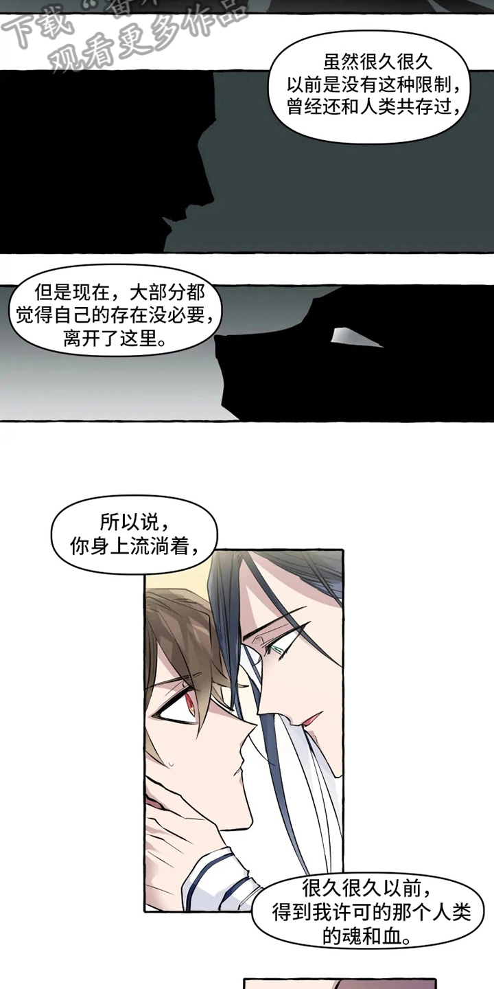 神奇的布鲁漫画,第9章：成功3图