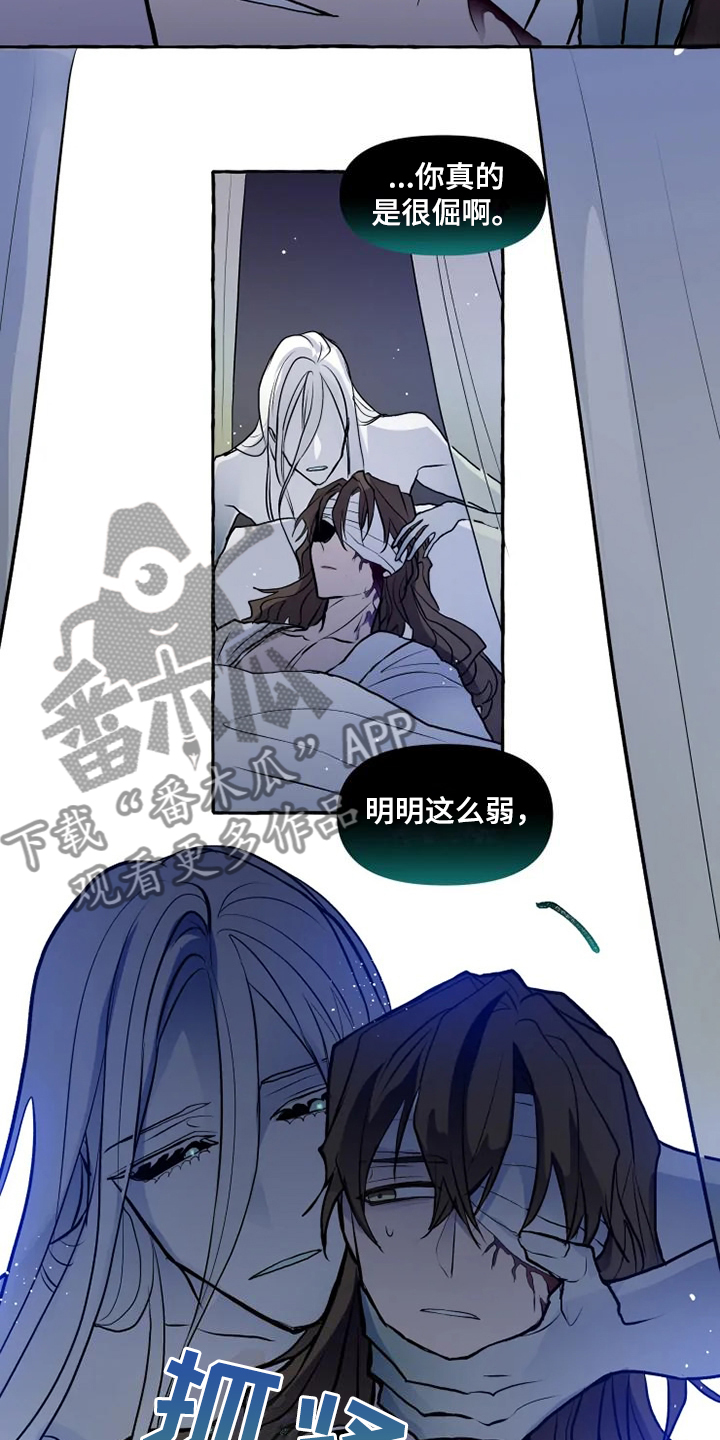 神奇的布鲁漫画,第47章：不可思议的力量1图