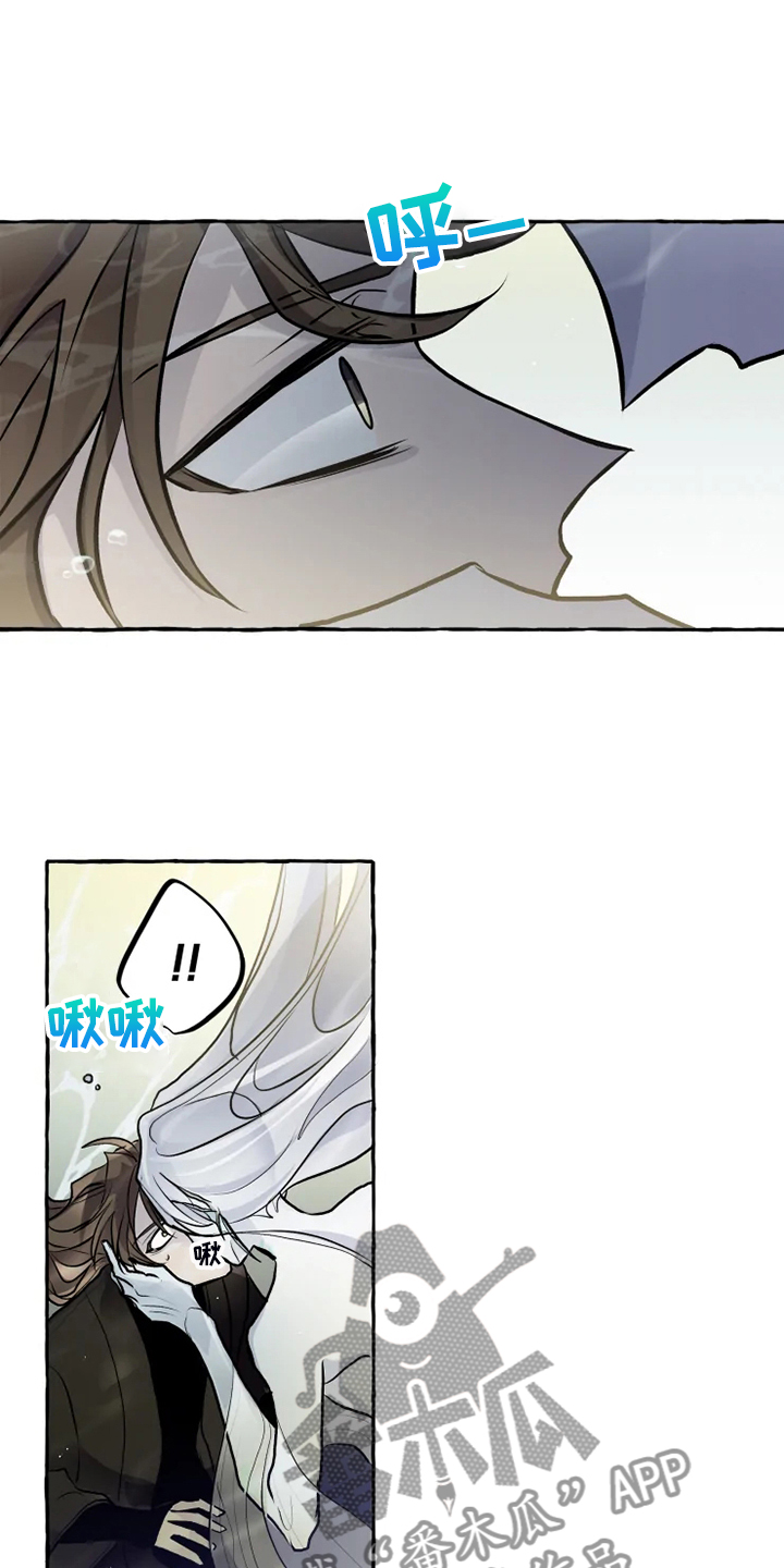 神奇的布鲁漫画,第39章：水底3图