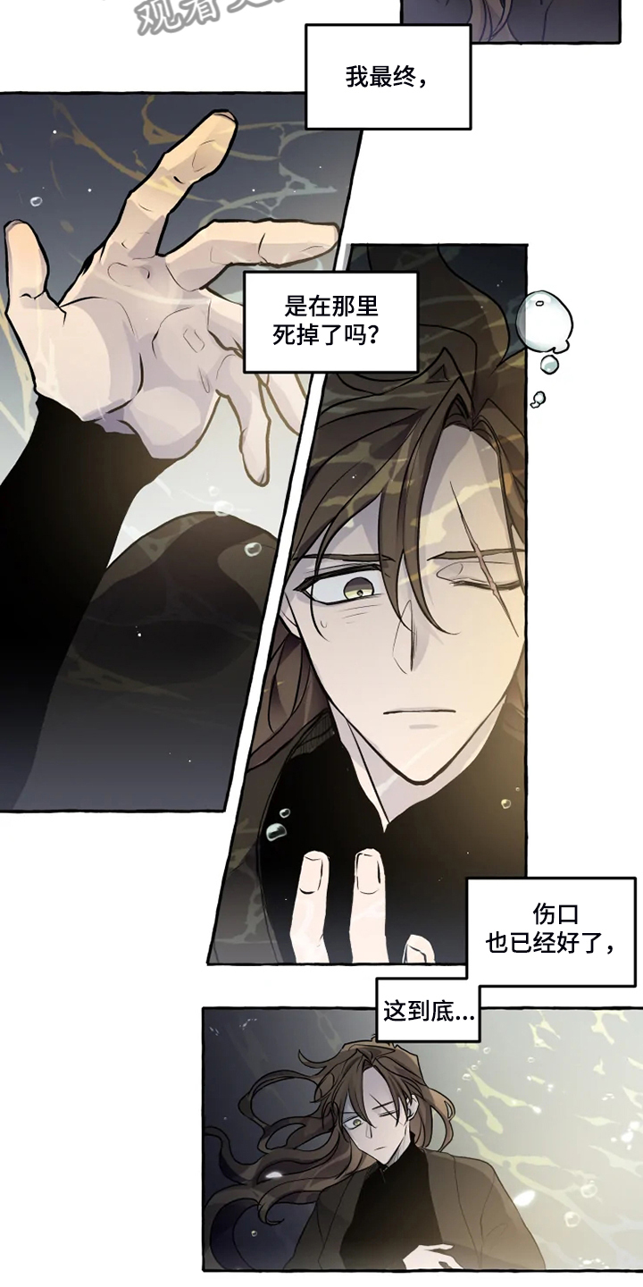 神奇的布鲁漫画,第39章：水底4图