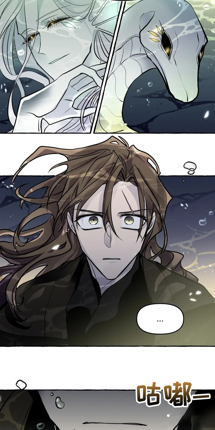 神奇的布鲁漫画,第40章：生命的敬畏2图