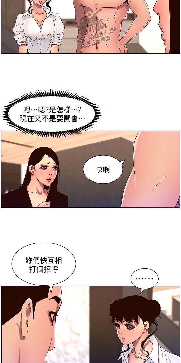 帝王app漫画漫画,第76章：介绍3图