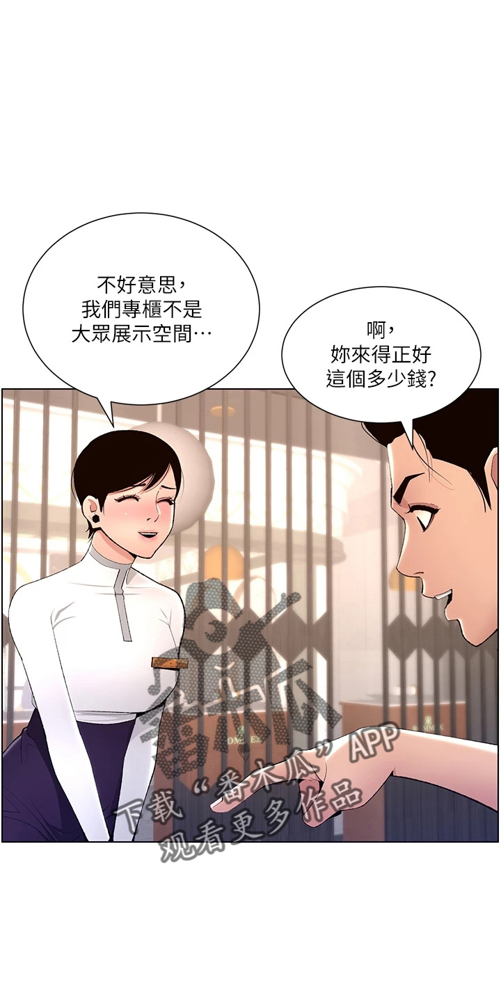 帝王花烛一片叶子多少钱漫画,第35章：购物4图