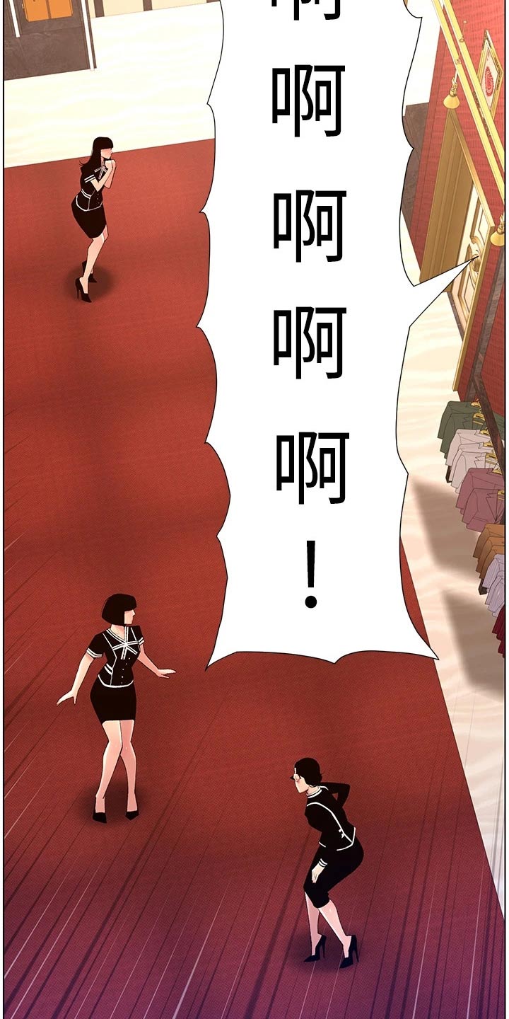 帝王花烛一片叶子多少钱漫画,第42章：礼物3图