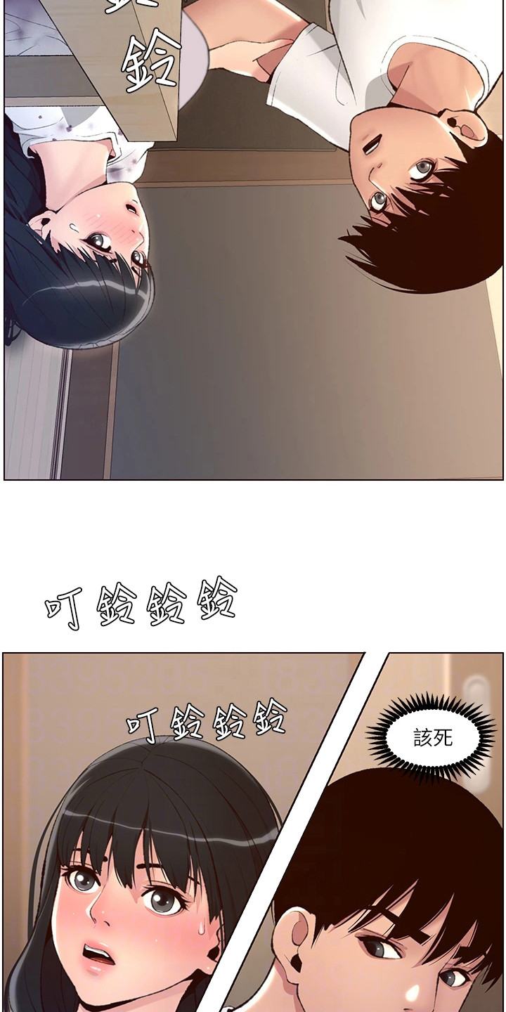 帝王鳄漫画,第15章：电话3图