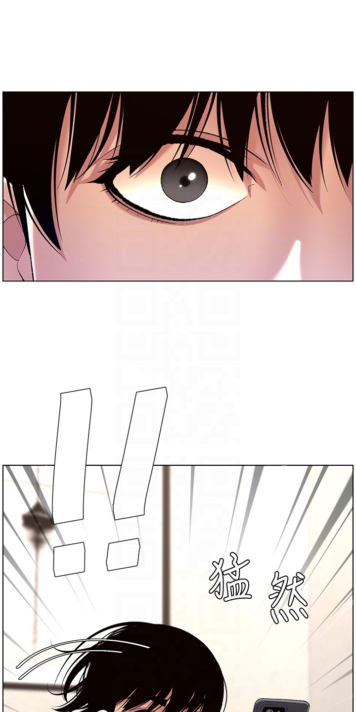 帝王花烛一片叶子多少钱漫画,第23章：查看2图