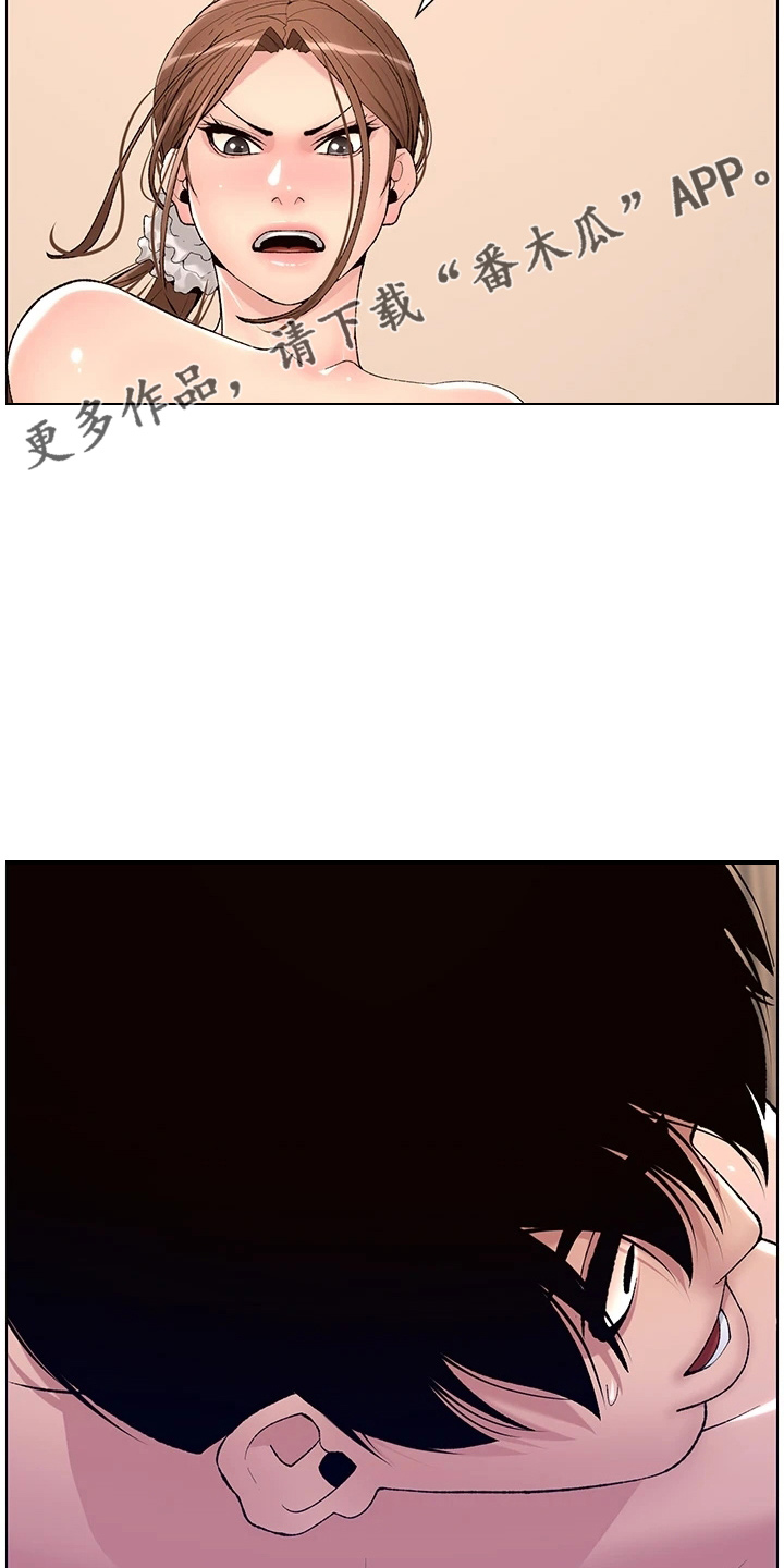 帝王花烛一片叶子多少钱漫画,第29章：任务4图