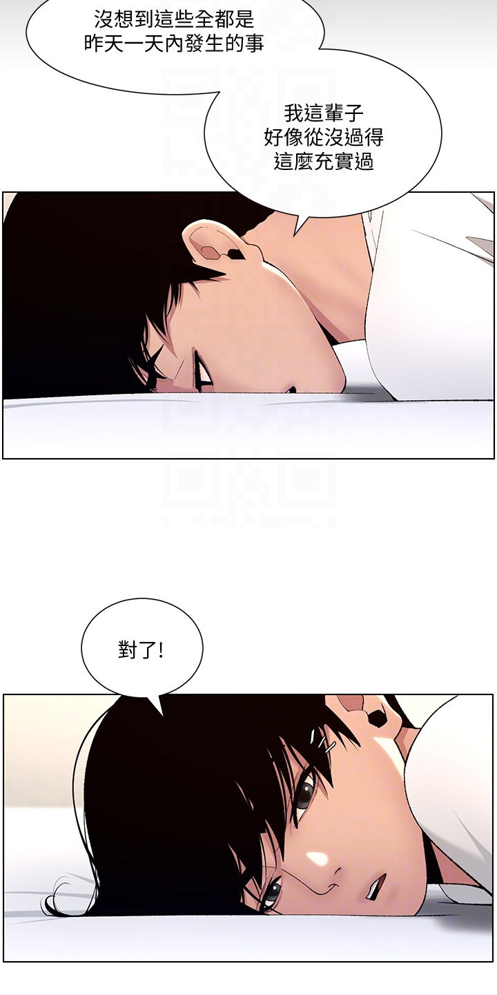 帝王花烛一片叶子多少钱漫画,第23章：查看4图