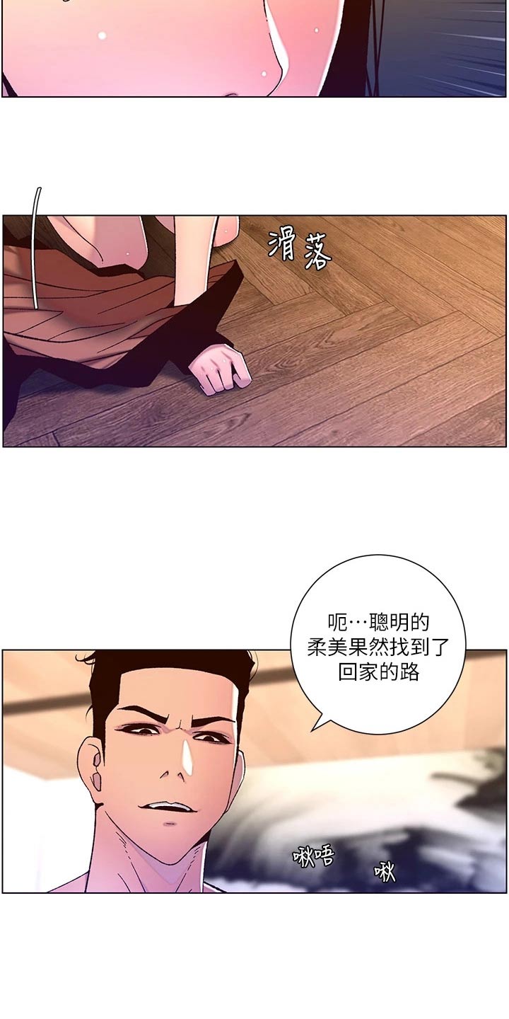帝王花烛一片叶子多少钱漫画,第77章：神的使徒1图