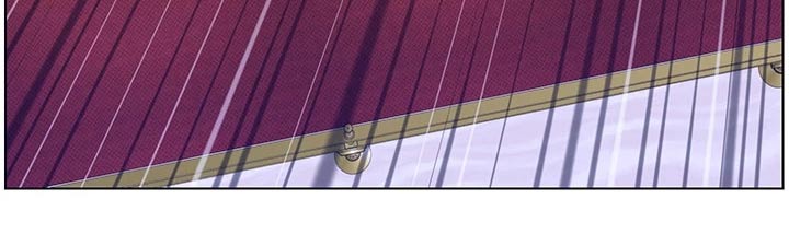 帝王花烛一片叶子多少钱漫画,第42章：礼物4图