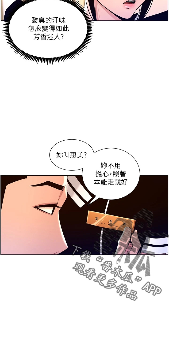 帝王软件下载安装漫画,第36章：都会买4图