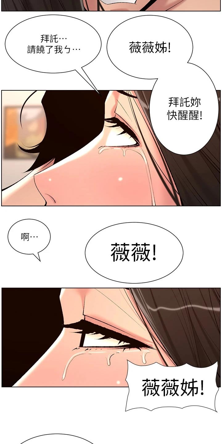 帝王鳄漫画,第39章：阴影5图