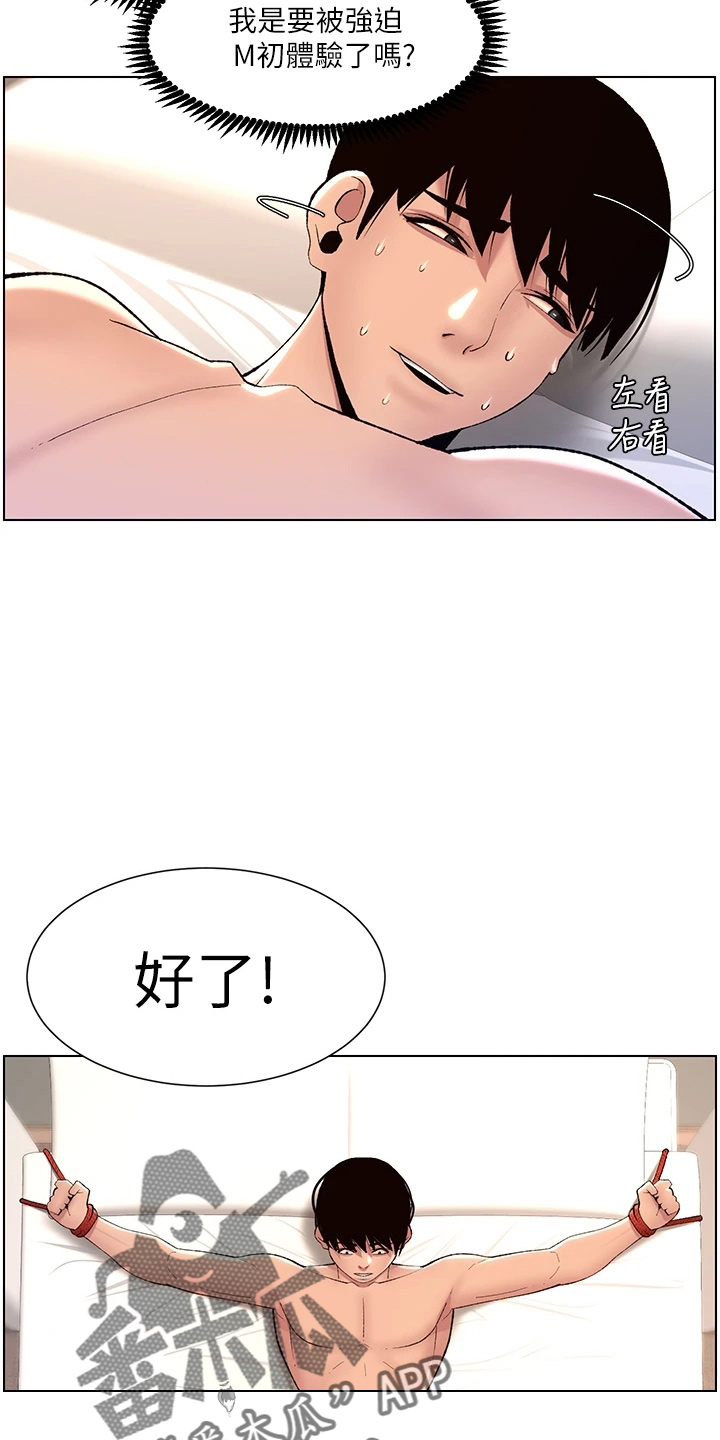 帝王花烛一片叶子多少钱漫画,第29章：任务2图