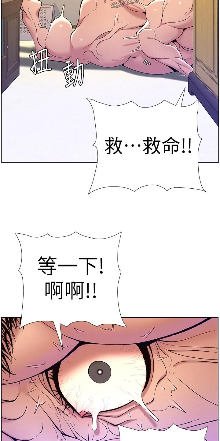 帝王软件漫画,第49章：完美4图