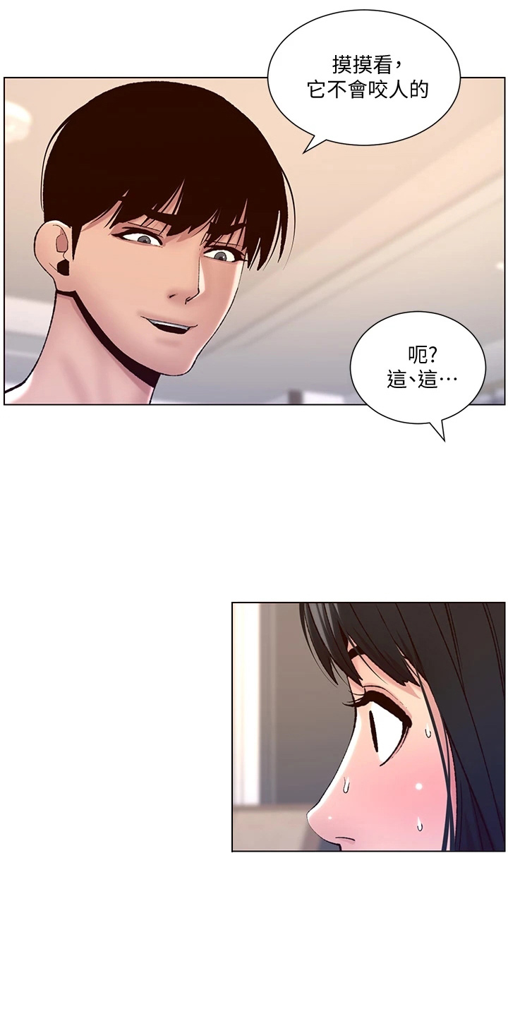 帝王鳄漫画,第20章：睡着了1图