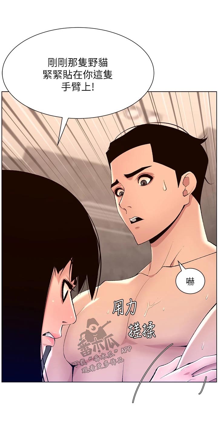 帝王软件漫画,第45章：嫌弃1图