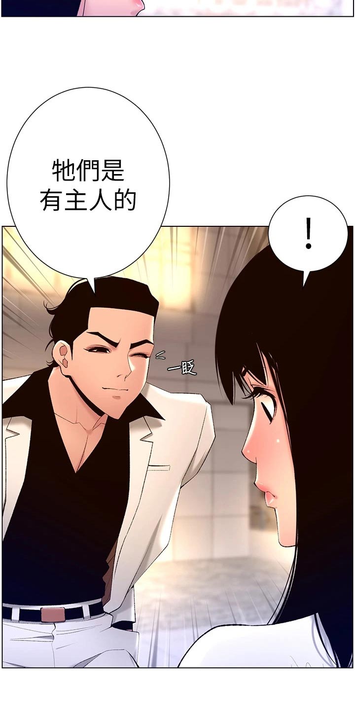 帝王花烛一片叶子多少钱漫画,第43章：礼物2图