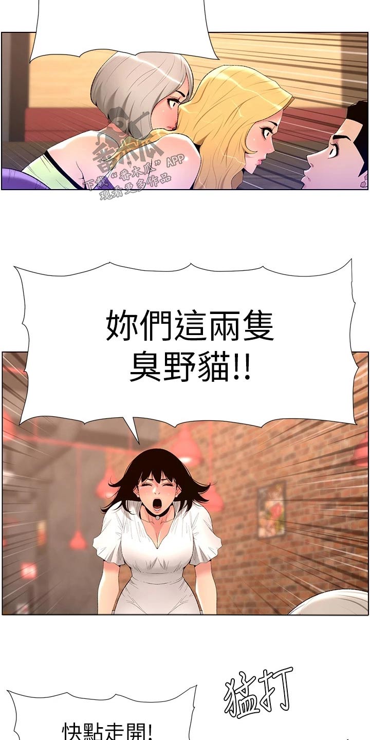 帝王花烛一片叶子多少钱漫画,第44章：搭讪1图