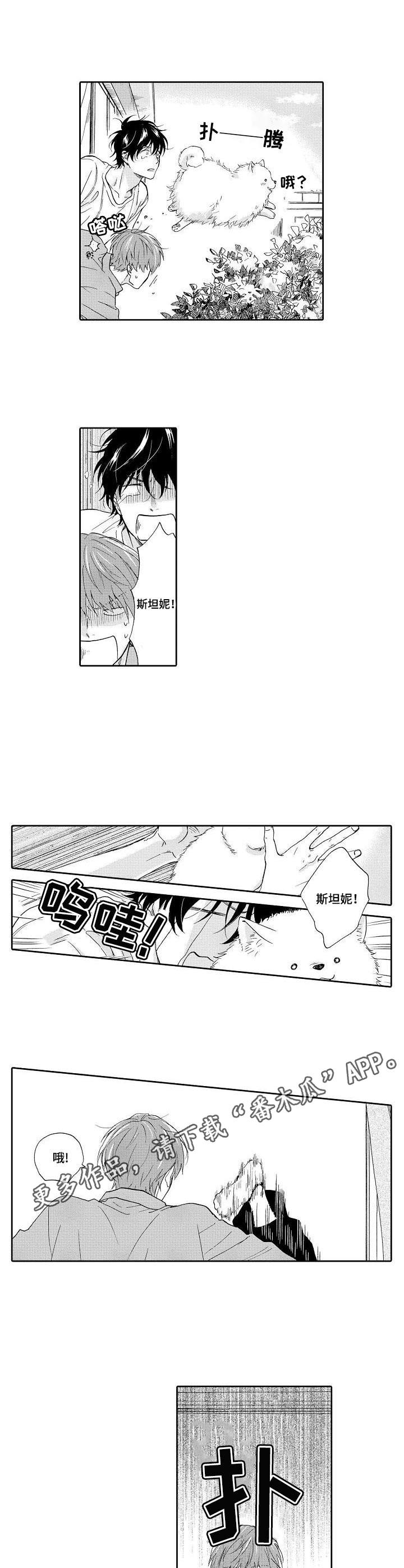 不会咬人的狗漫画,第16章：惊吓3图