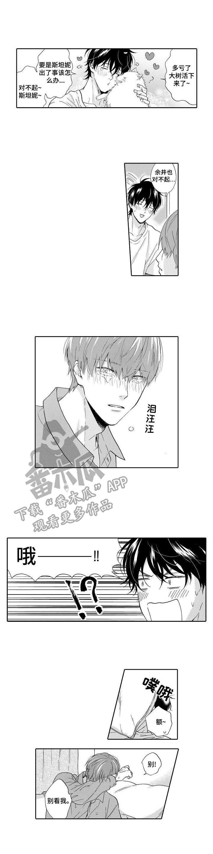 不会咬人的狗漫画,第17章：负责（完结）1图