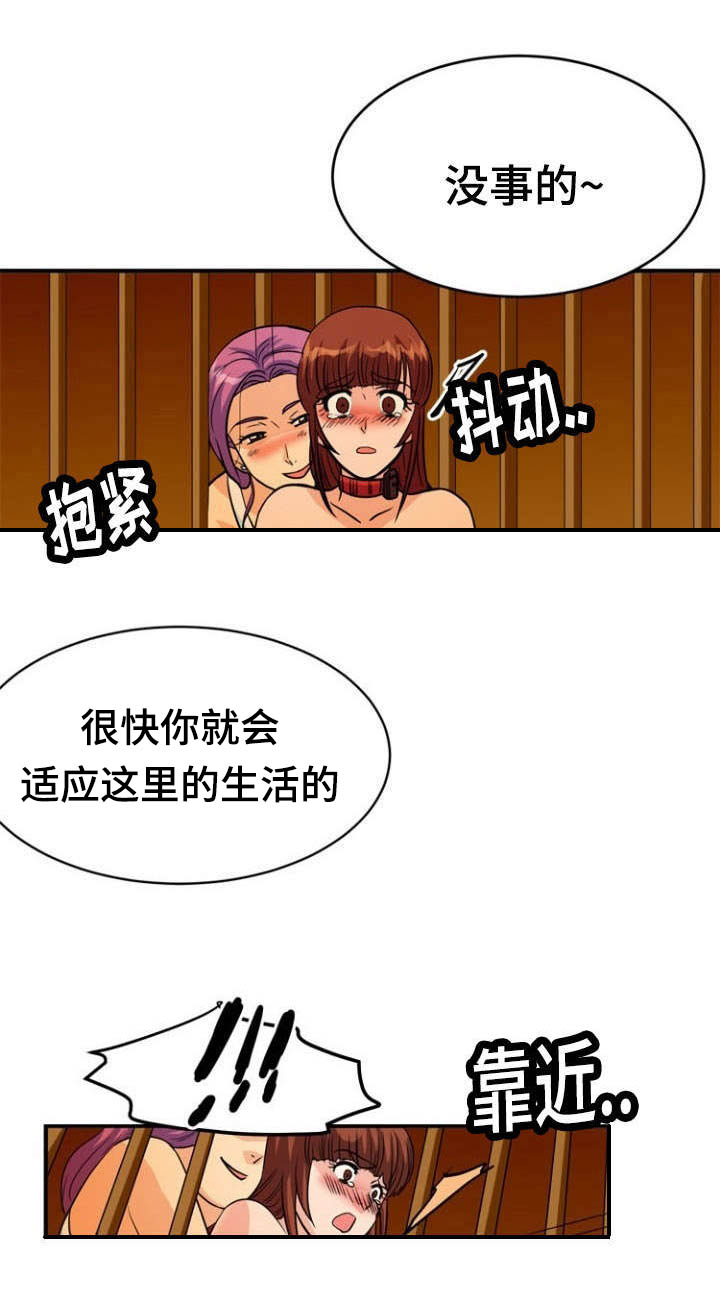 孤岛游魂漫画,第14章：沉迷2图