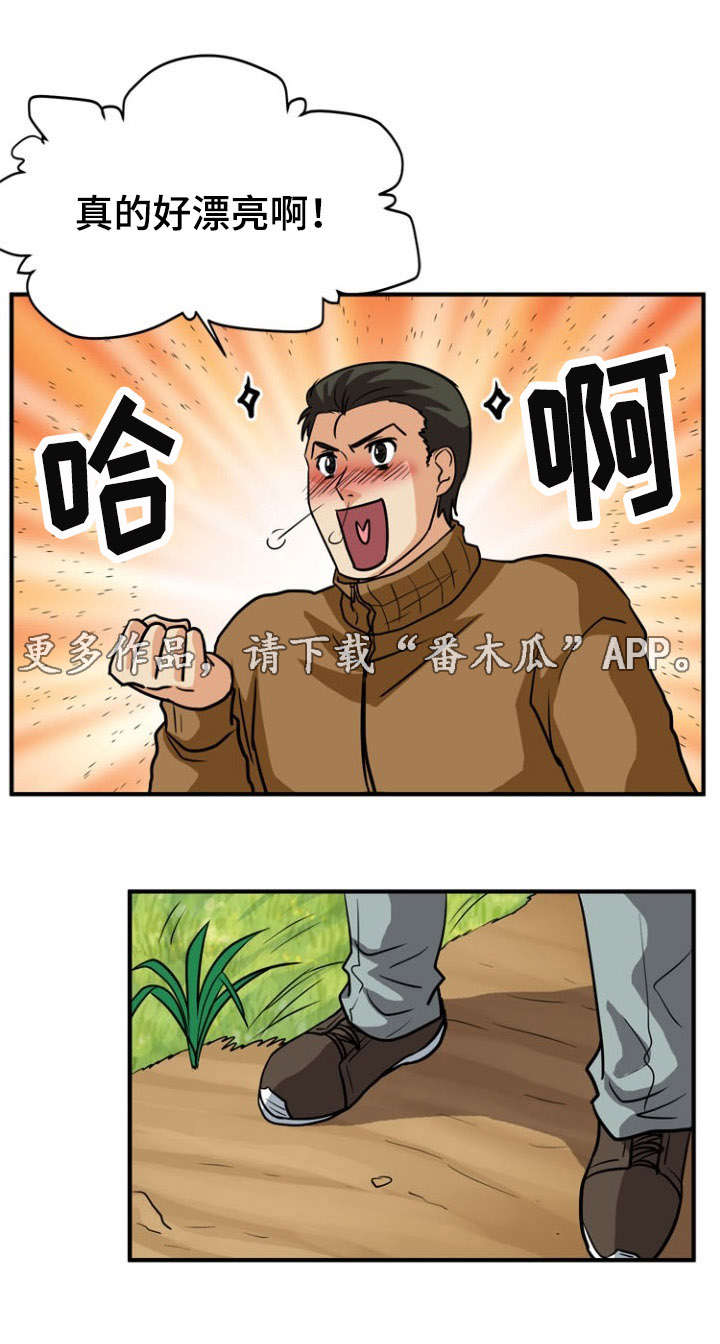孤岛游魂漫画,第29章：相遇1图