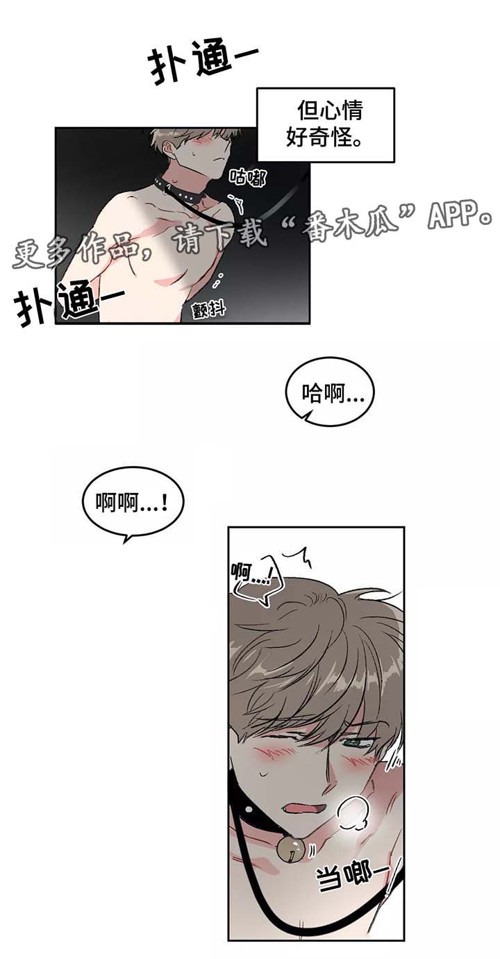 教授的秘密笔趣阁漫画,第28章：计划2图