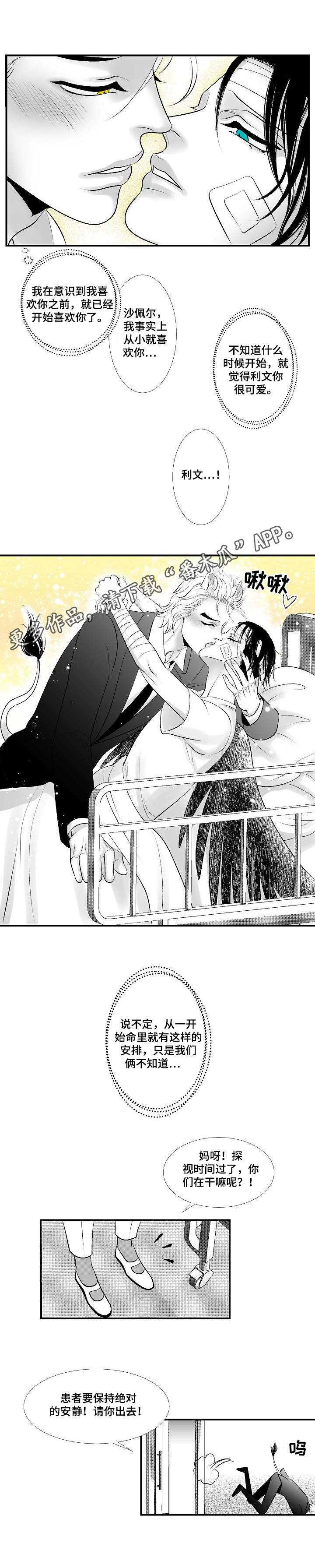 死路一条的上一句是什么漫画,第27章：尘埃落定5图