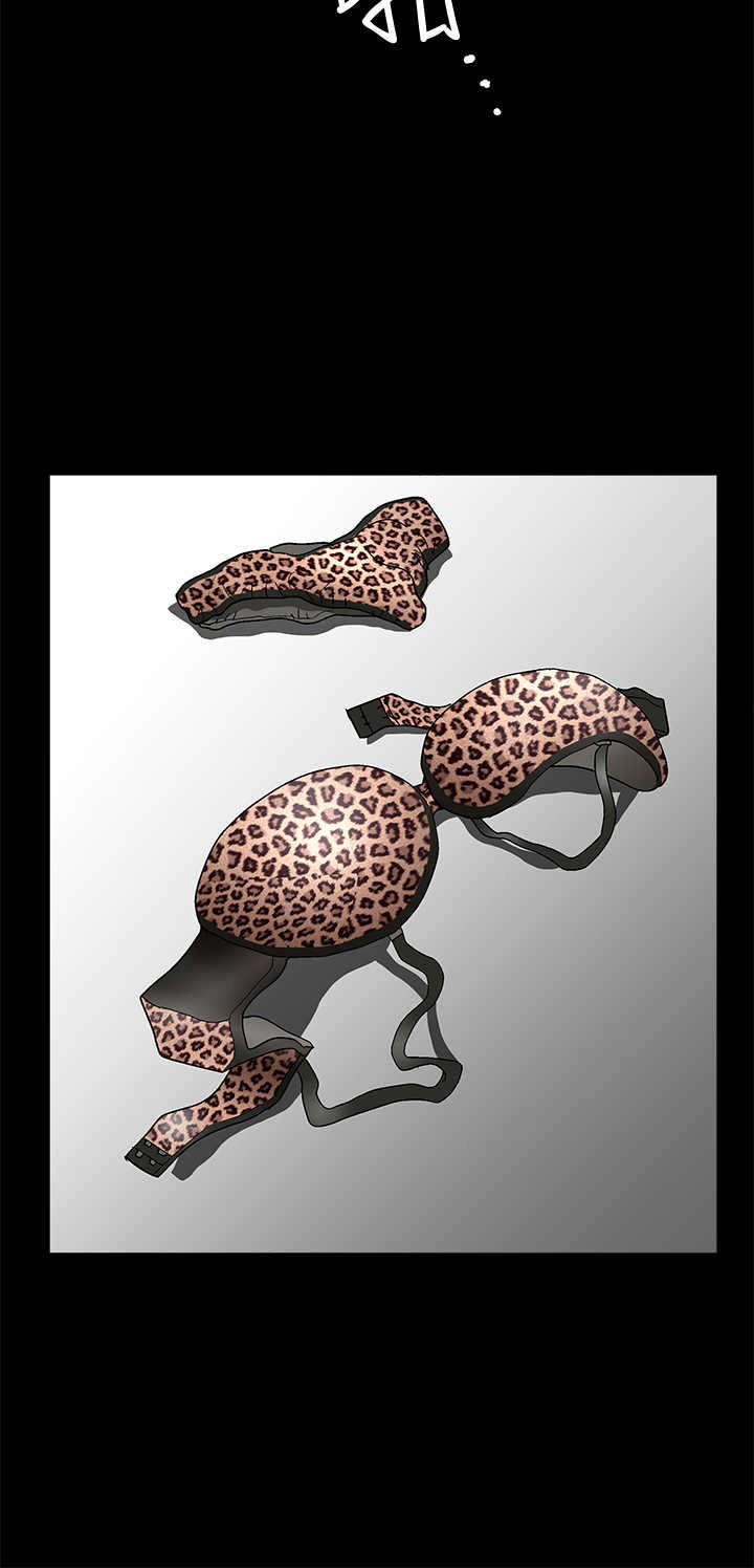 神秘包裹漫画,第38章：填补1图