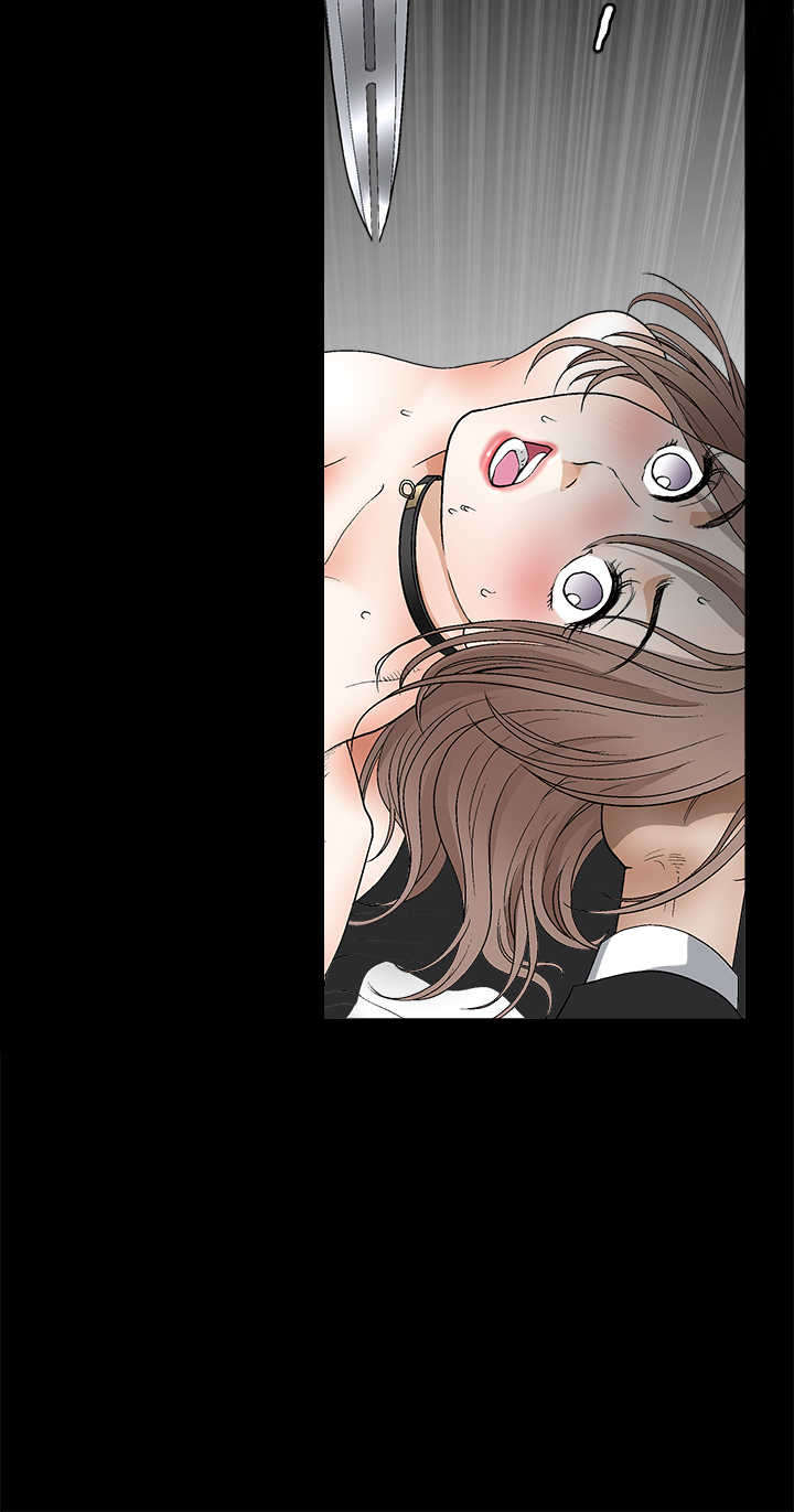 神秘包裹漫画,第22章：说明书2图